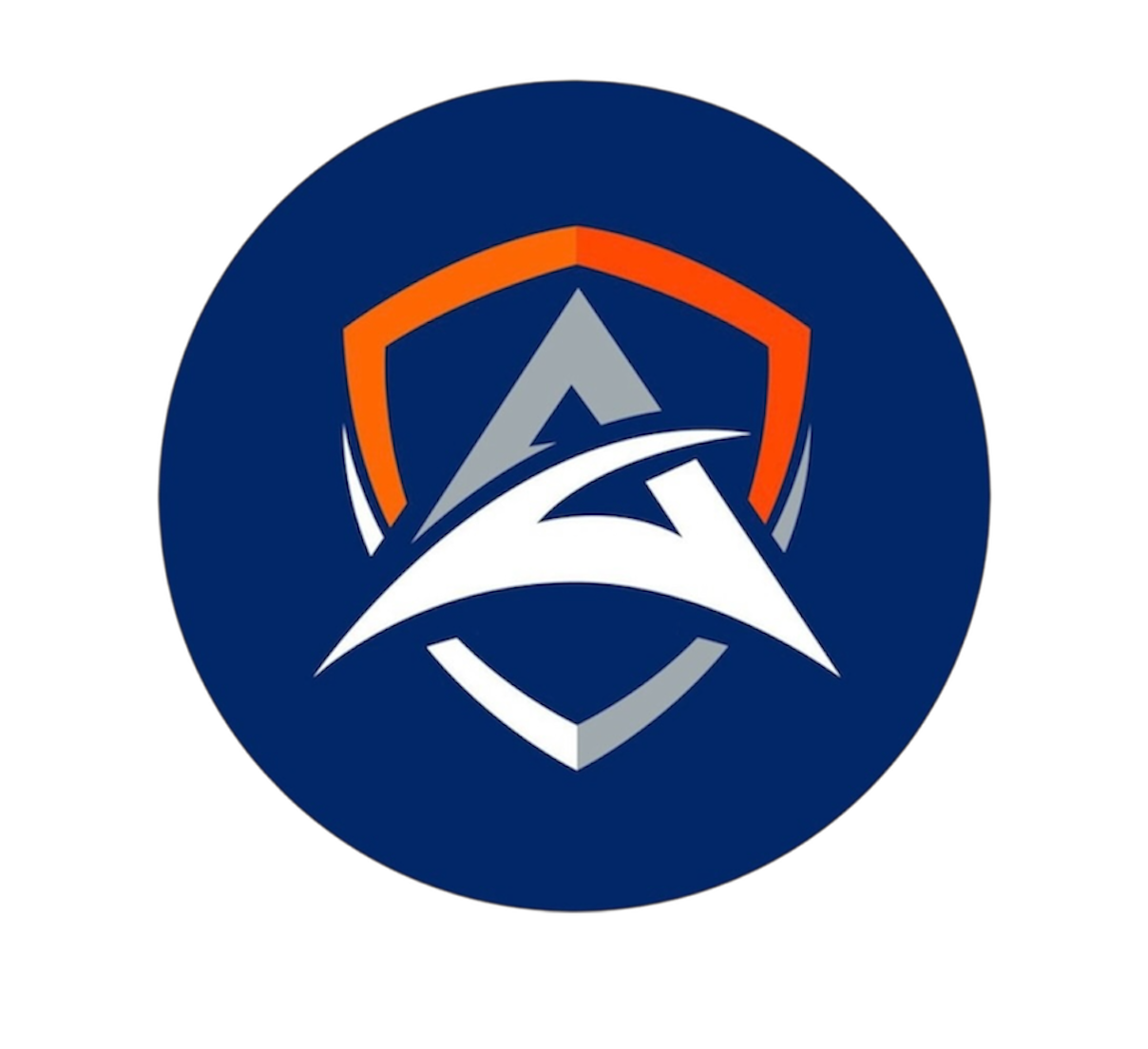 Logo Asegur — Seguridad perimetral